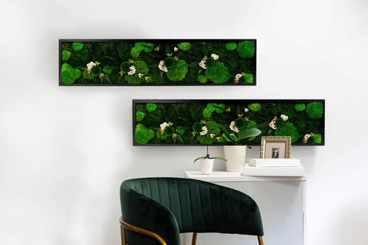 Decoración - Cuadros Preservados