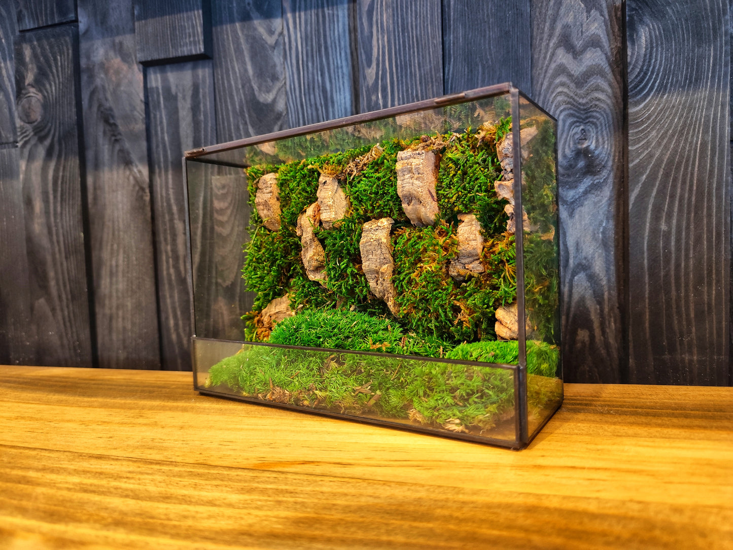 Wall Preserved Terrarium