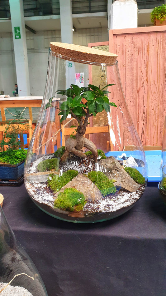 Hades Terrarium