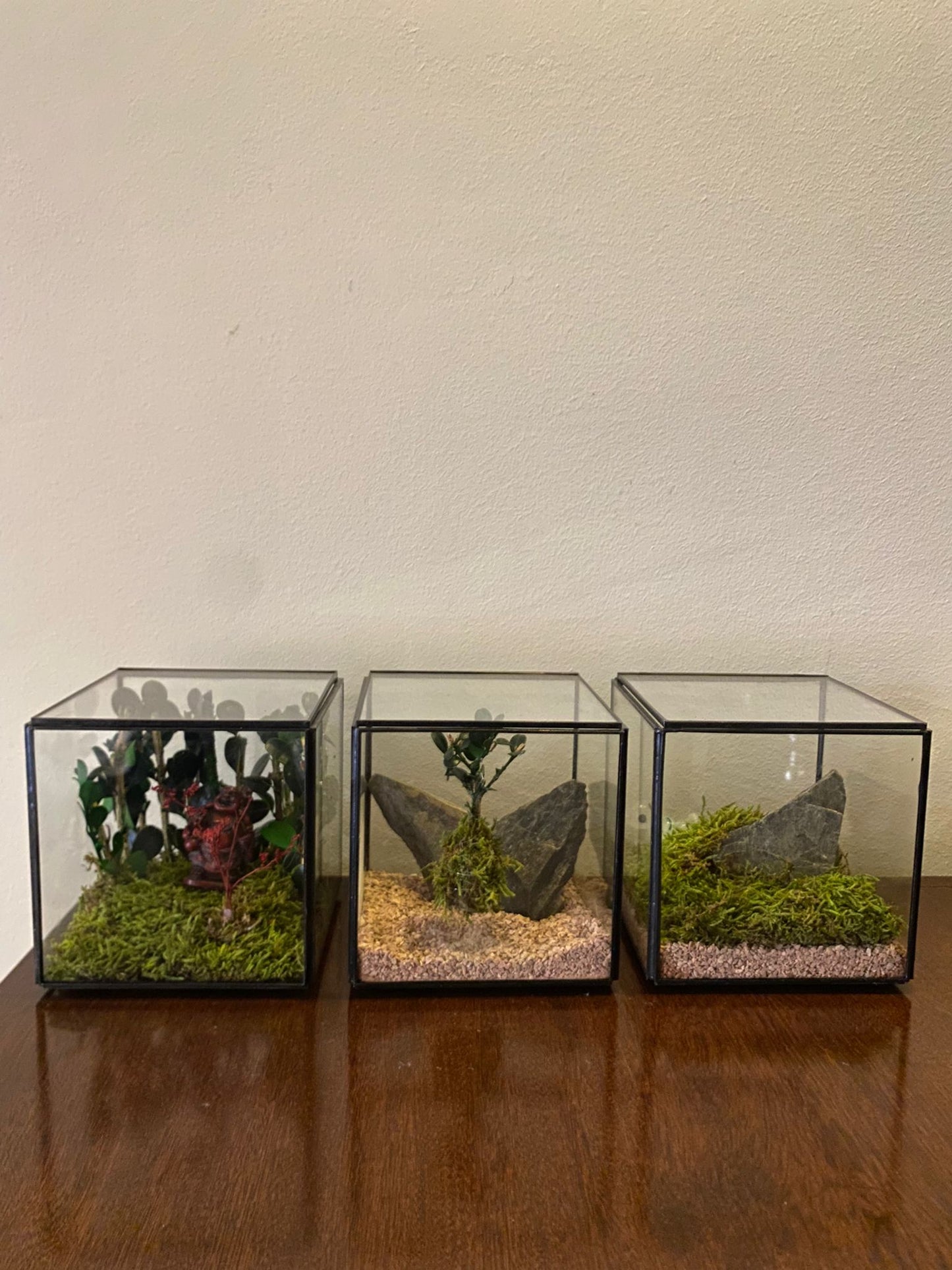 Cube preserved Moss
