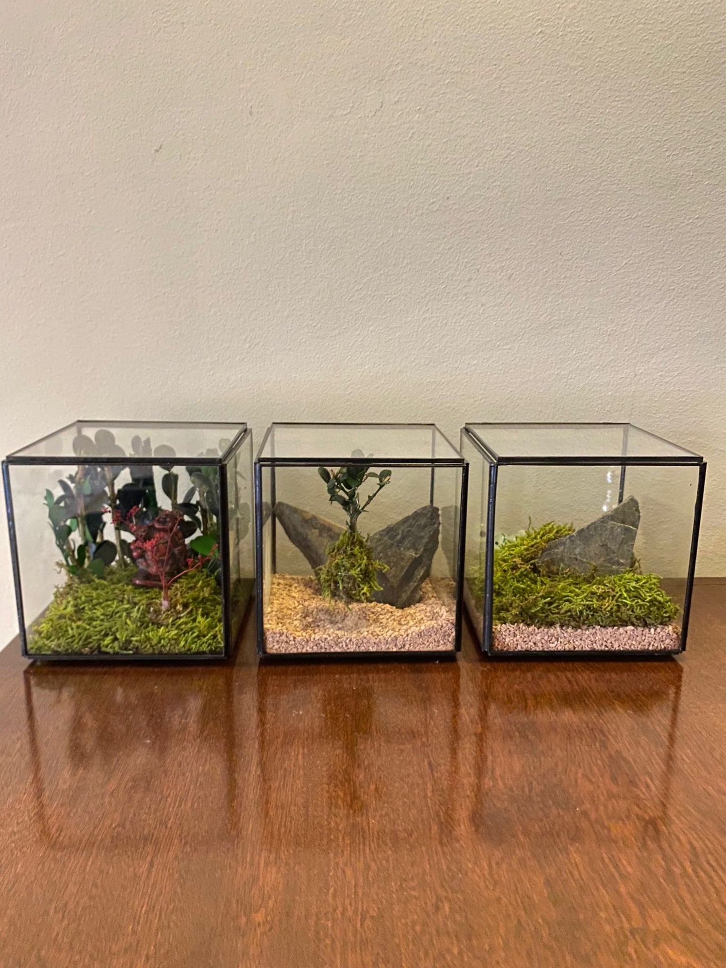 Cube preserved Moss