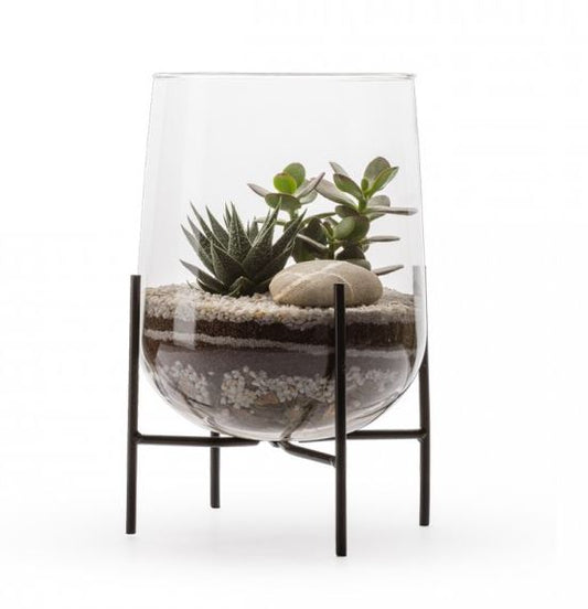 Succulente Terrarium