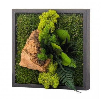 Nature S - MinimalMoss