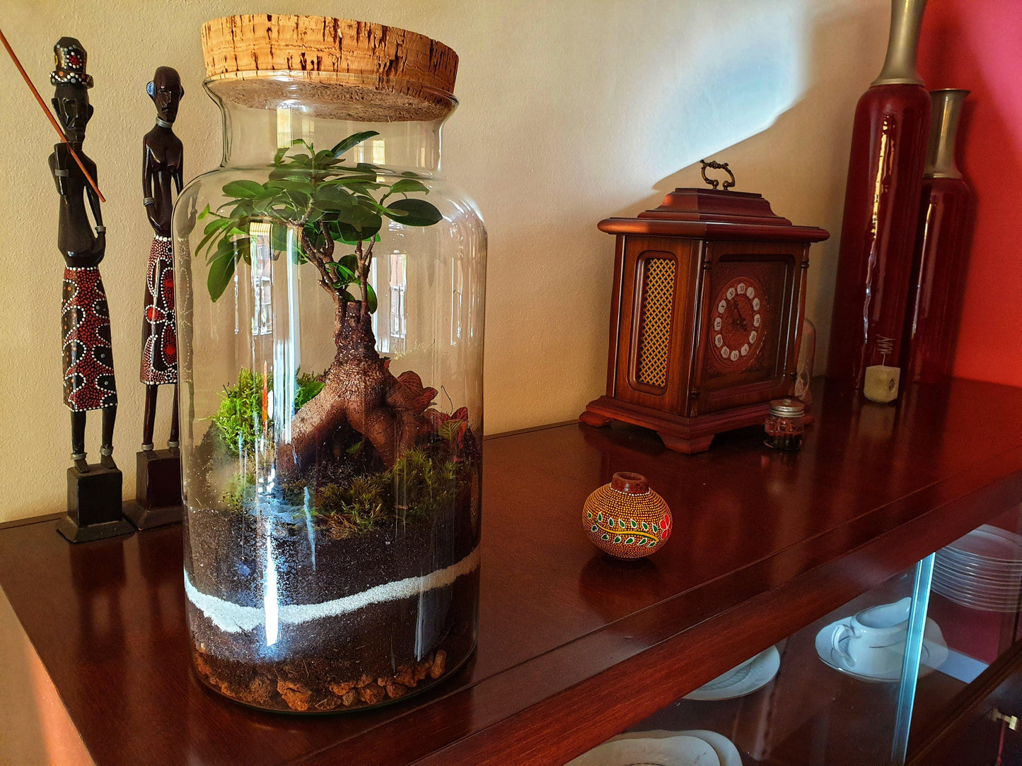 Ficus Terrarium - MinimalMoss