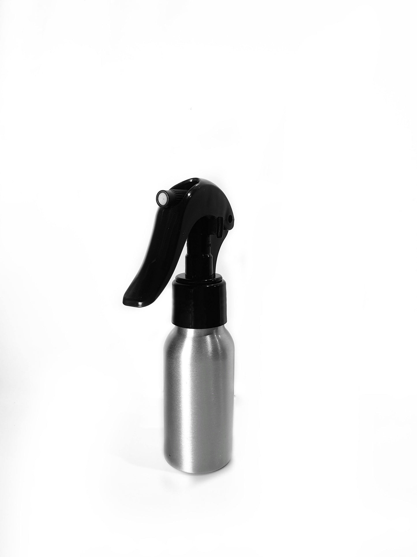 Spray Aluminio - MinimalMoss