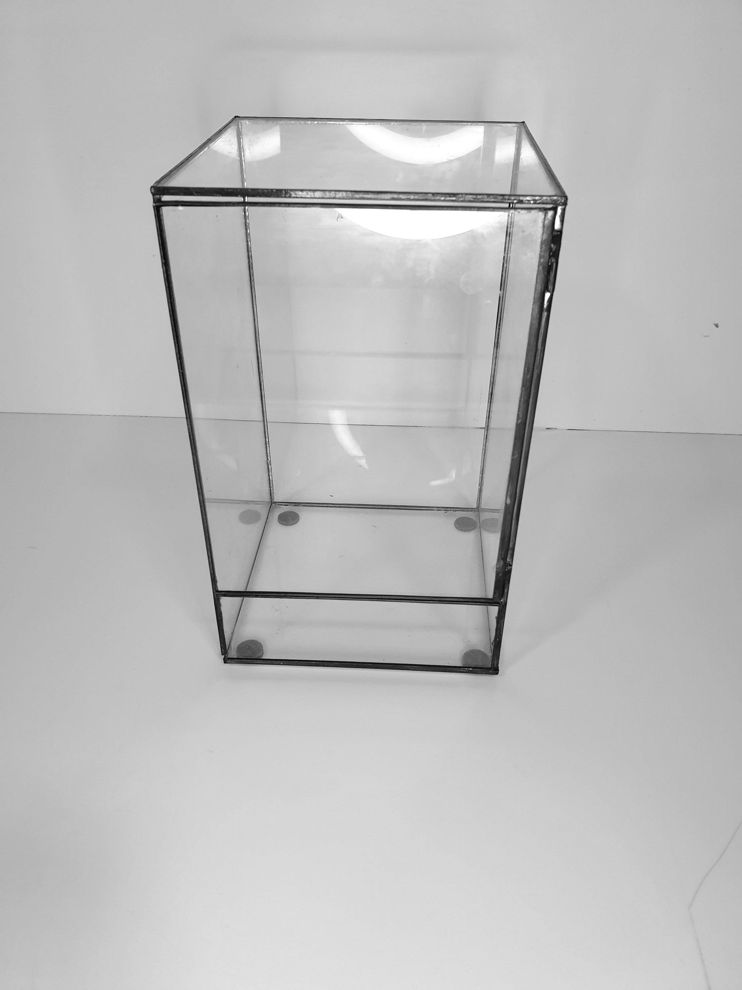 Hera Terrarium DIY - MinimalMoss