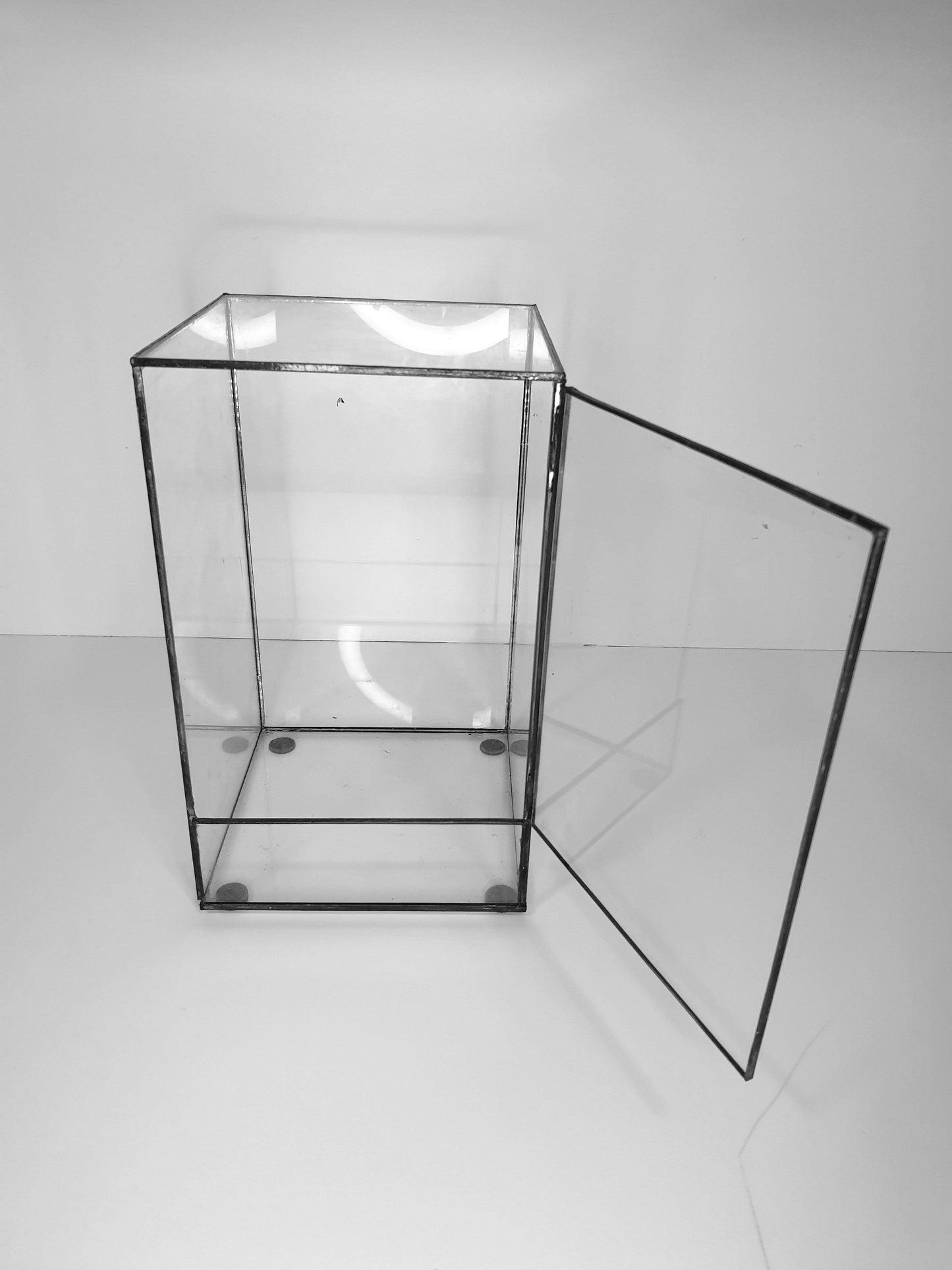 Hera Terrarium DIY - MinimalMoss