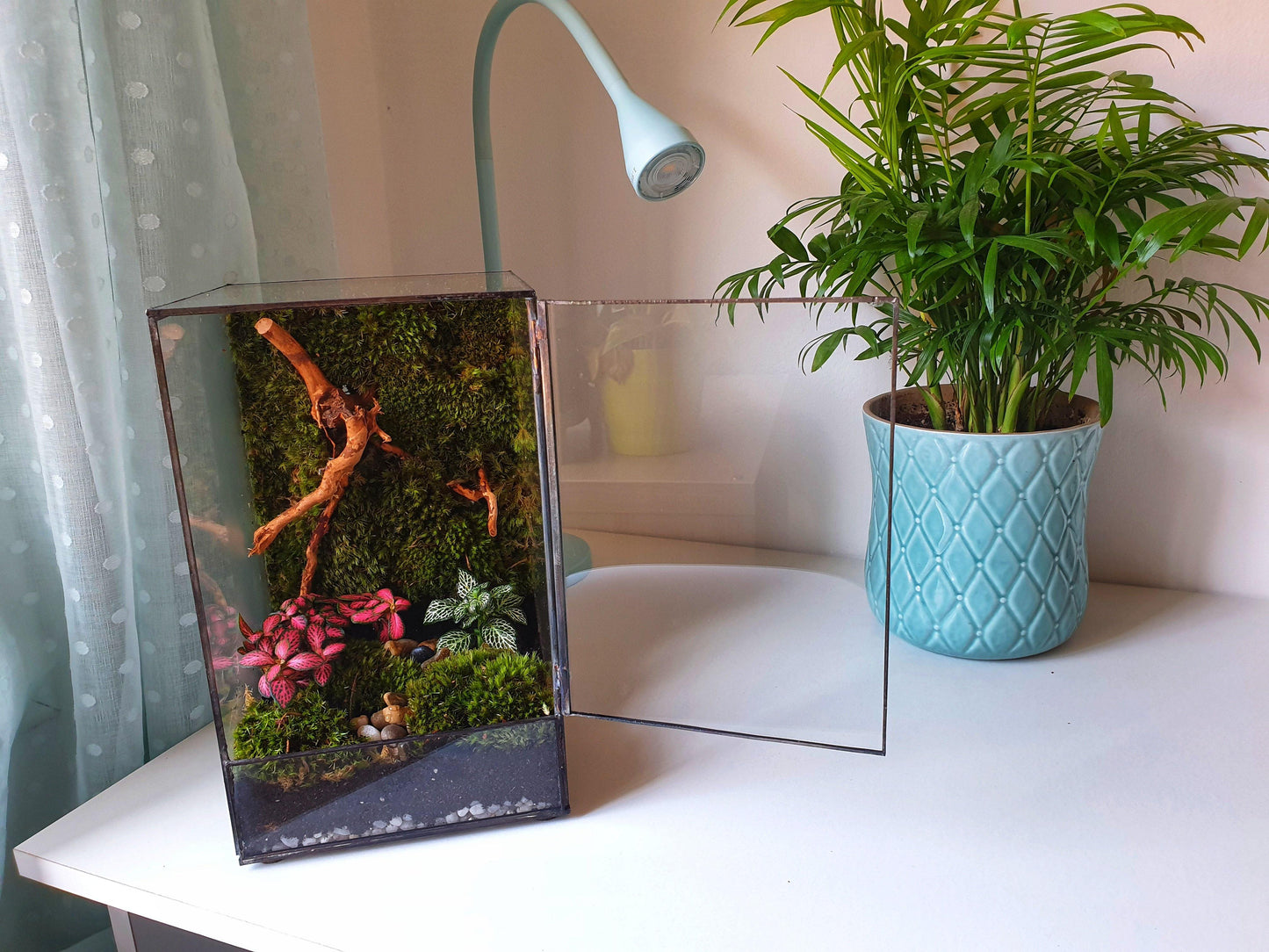 Hera Terrarium DIY - MinimalMoss