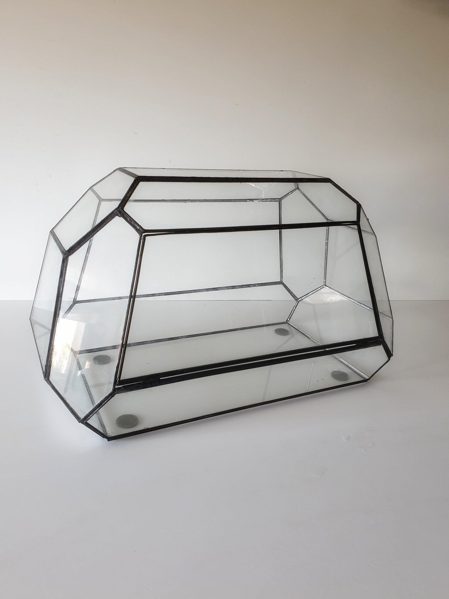 Jungle Terrarium - MinimalMoss