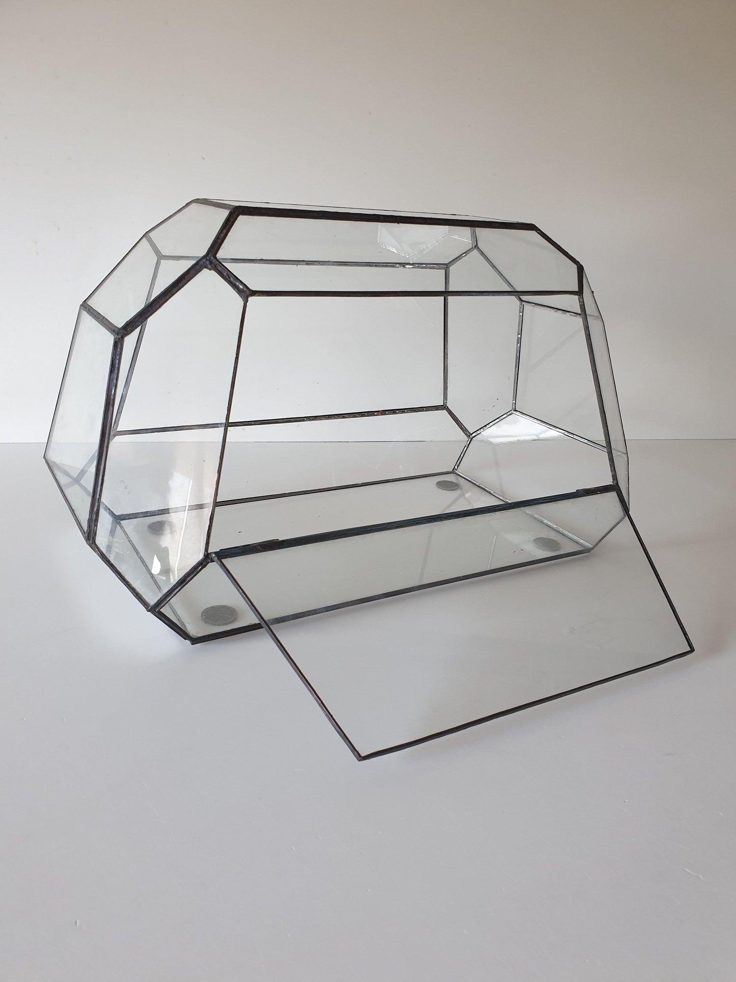Jungle Terrarium - MinimalMoss