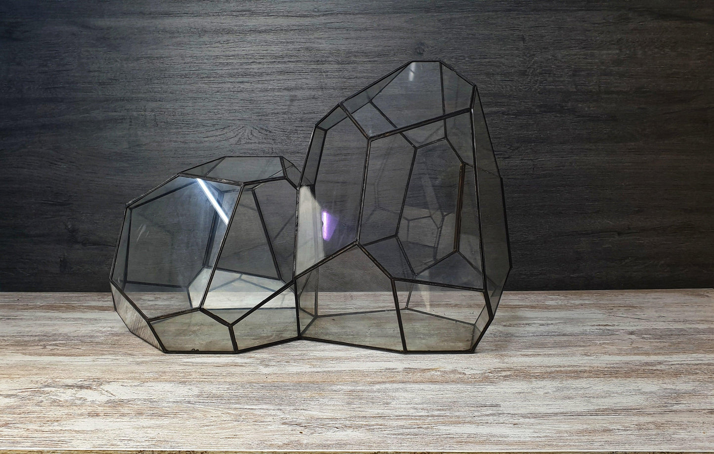 Ares Terrarium - MinimalMoss