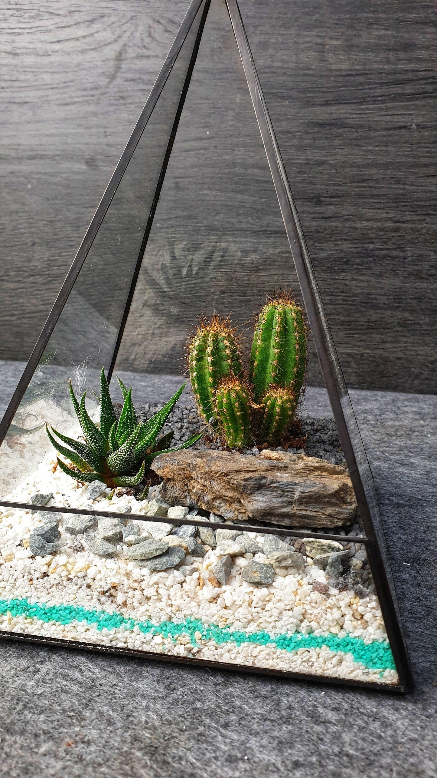 Kaktus Terrarium - MinimalMoss