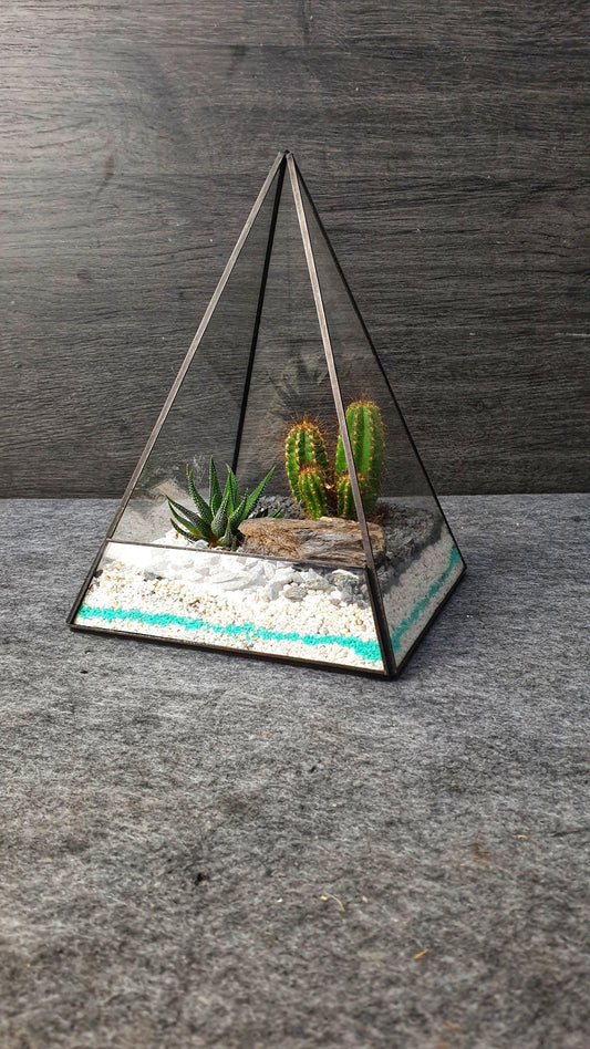Kaktus Terrarium - MinimalMoss