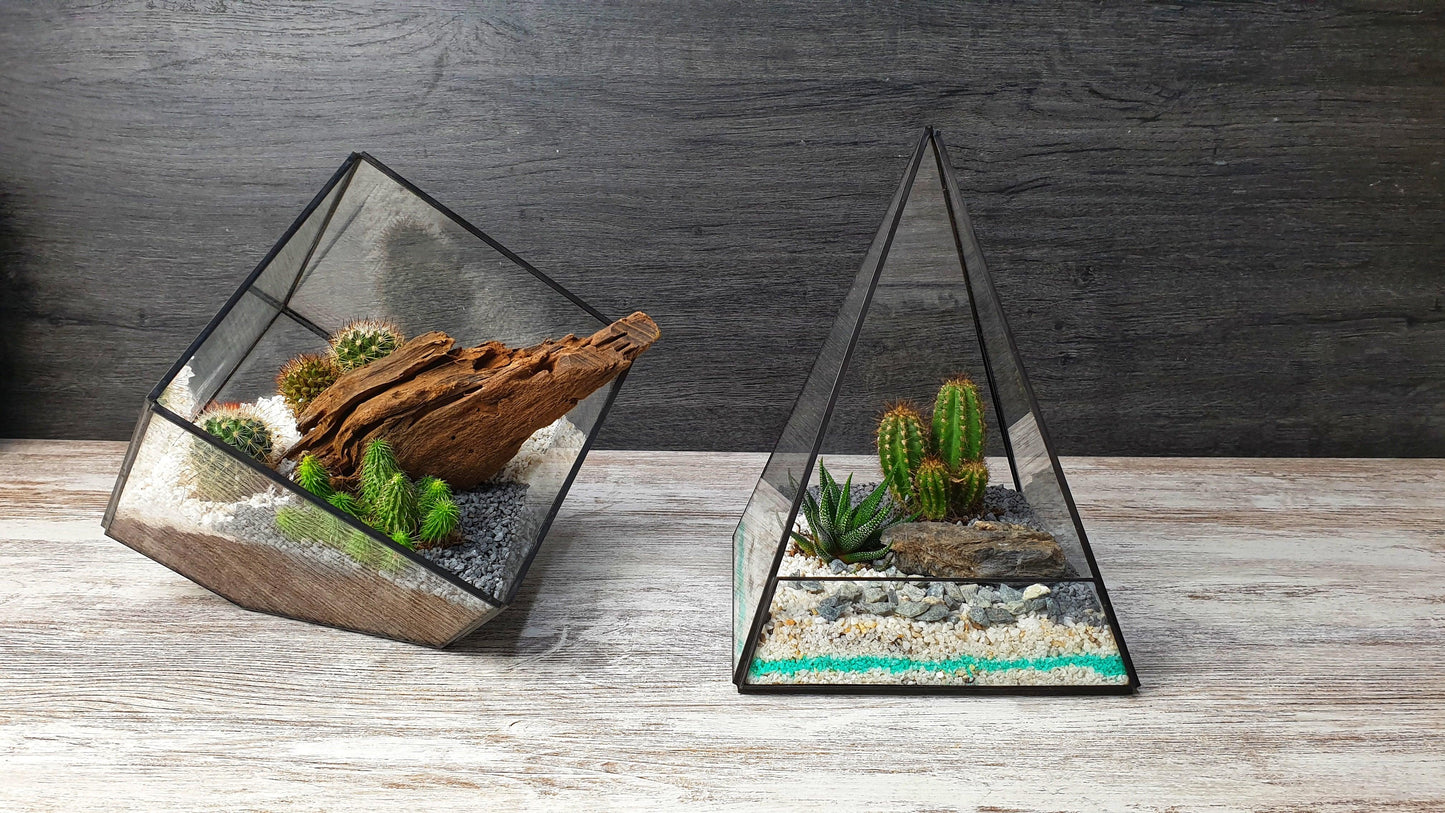 Kaktus cube - MinimalMoss