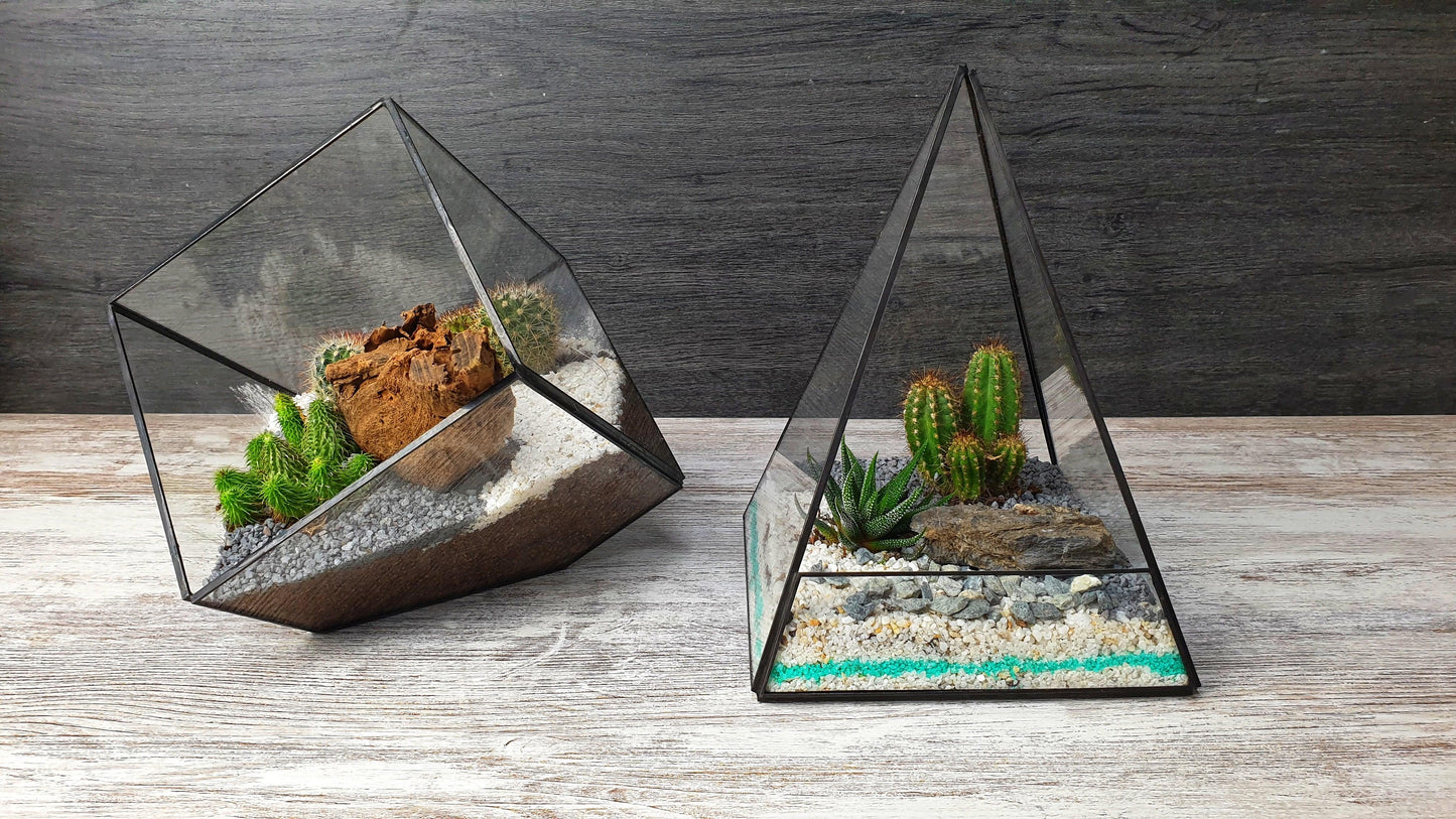 Kaktus cube - MinimalMoss
