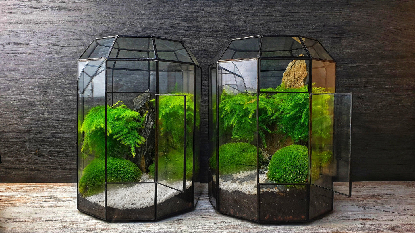 Zen Terrarium L - MinimalMoss