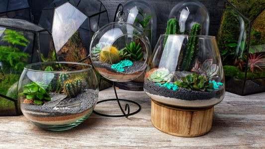 Desert Bowl - MinimalMoss