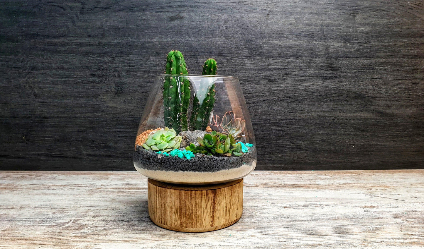 Desert Terrarium - MinimalMoss