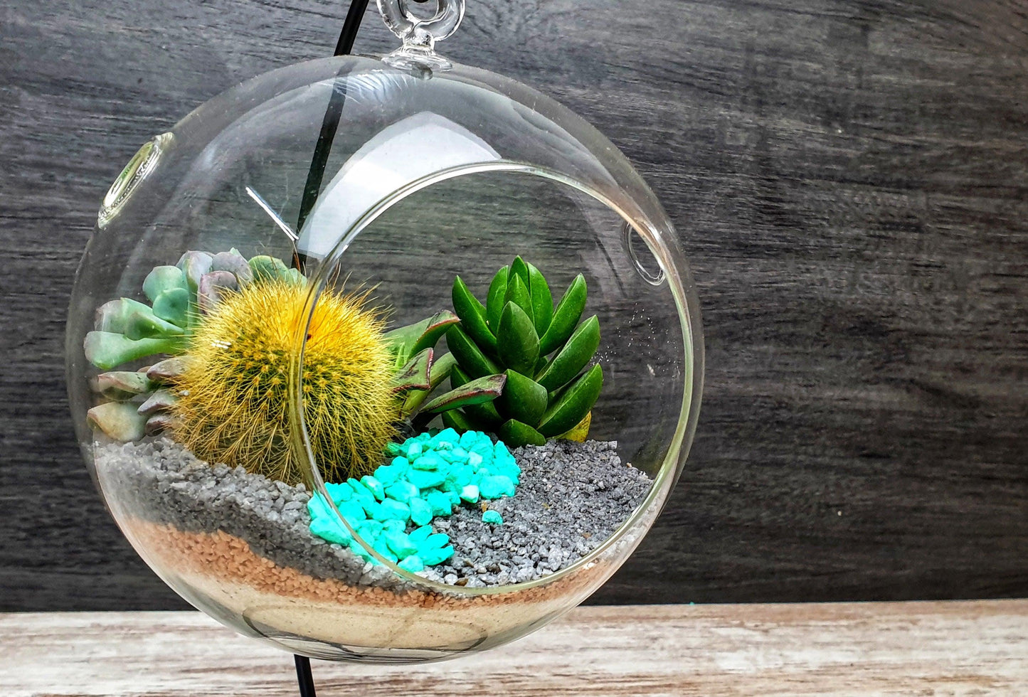 Desert Ball Sancás - MinimalMoss