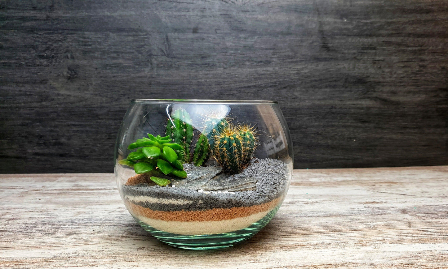 Desert Bowl - MinimalMoss