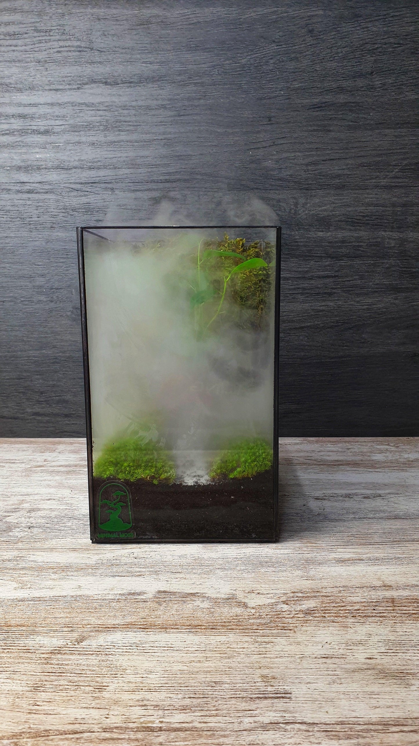 Aker Terrarium - MinimalMoss