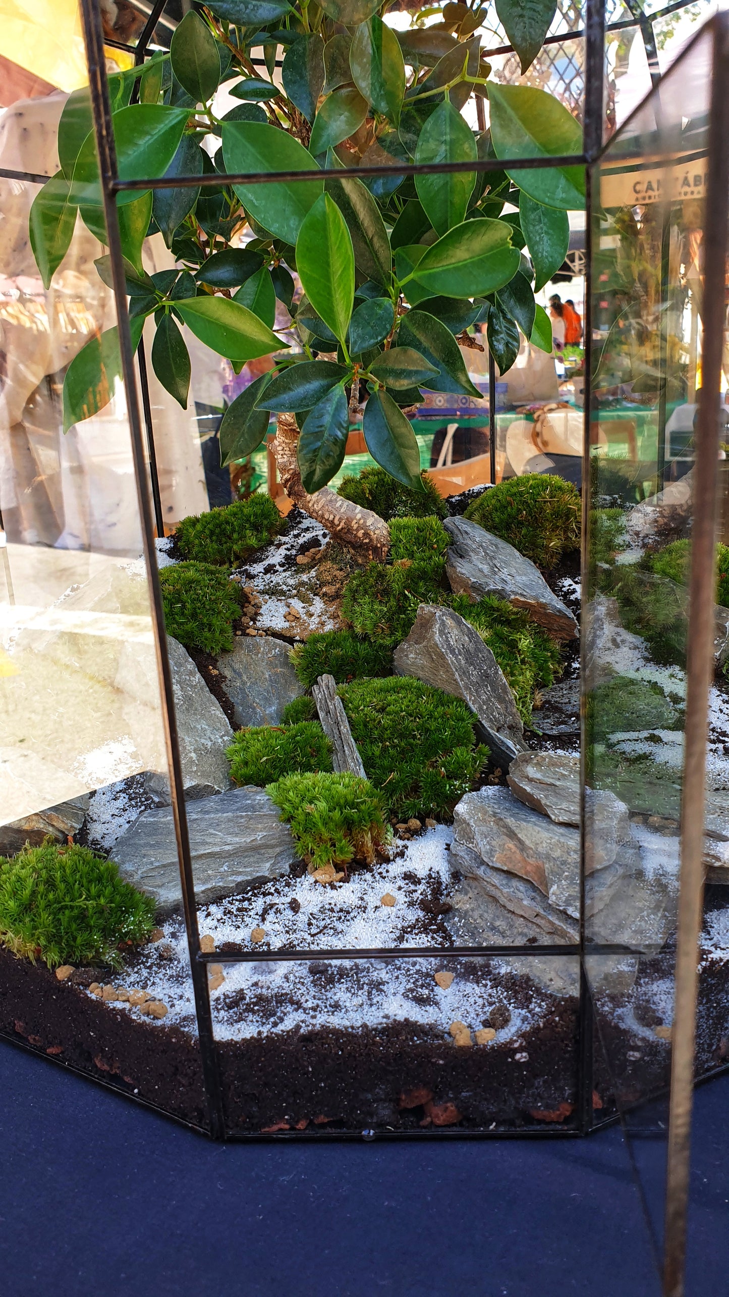 Zen Terrarium L