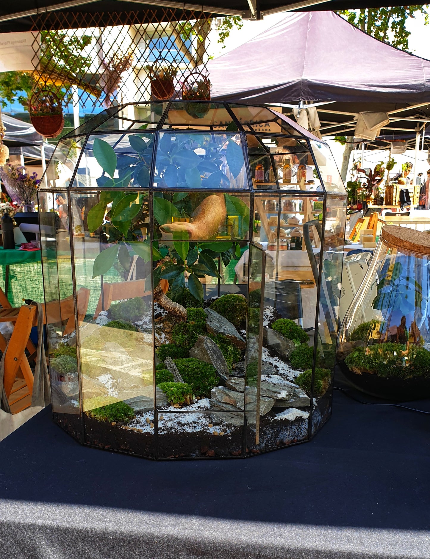 Zen Terrarium L