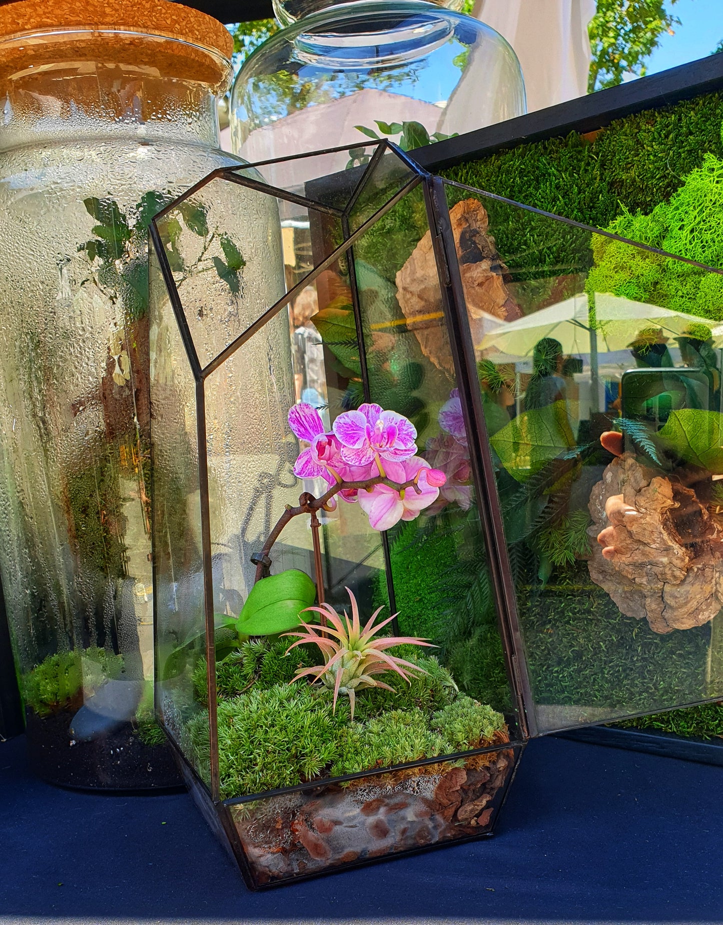Orchid Rainforest