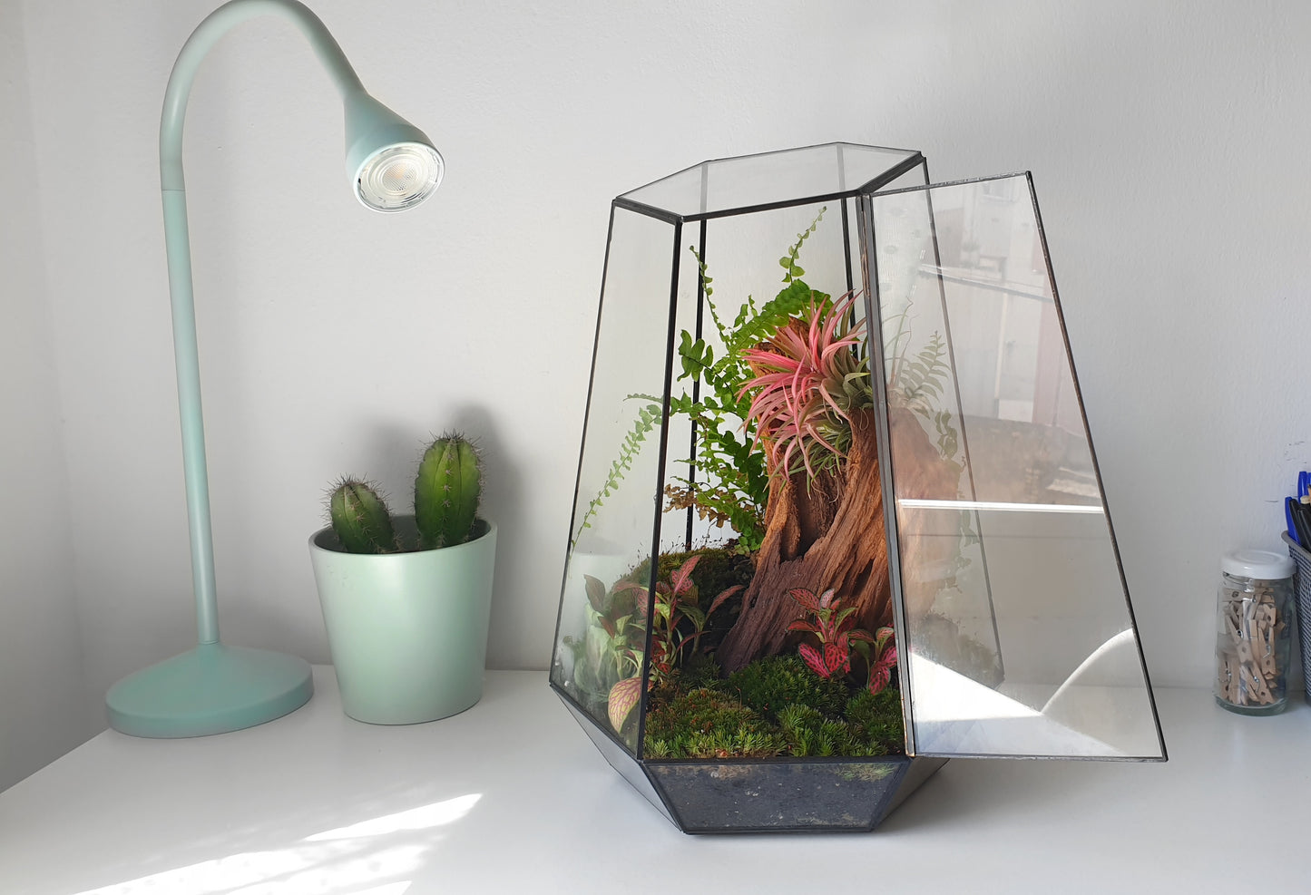 Freia Terrarium