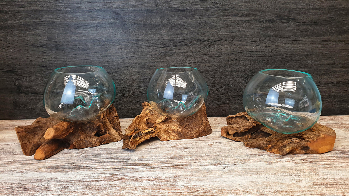 Amazonia Air Terrarium