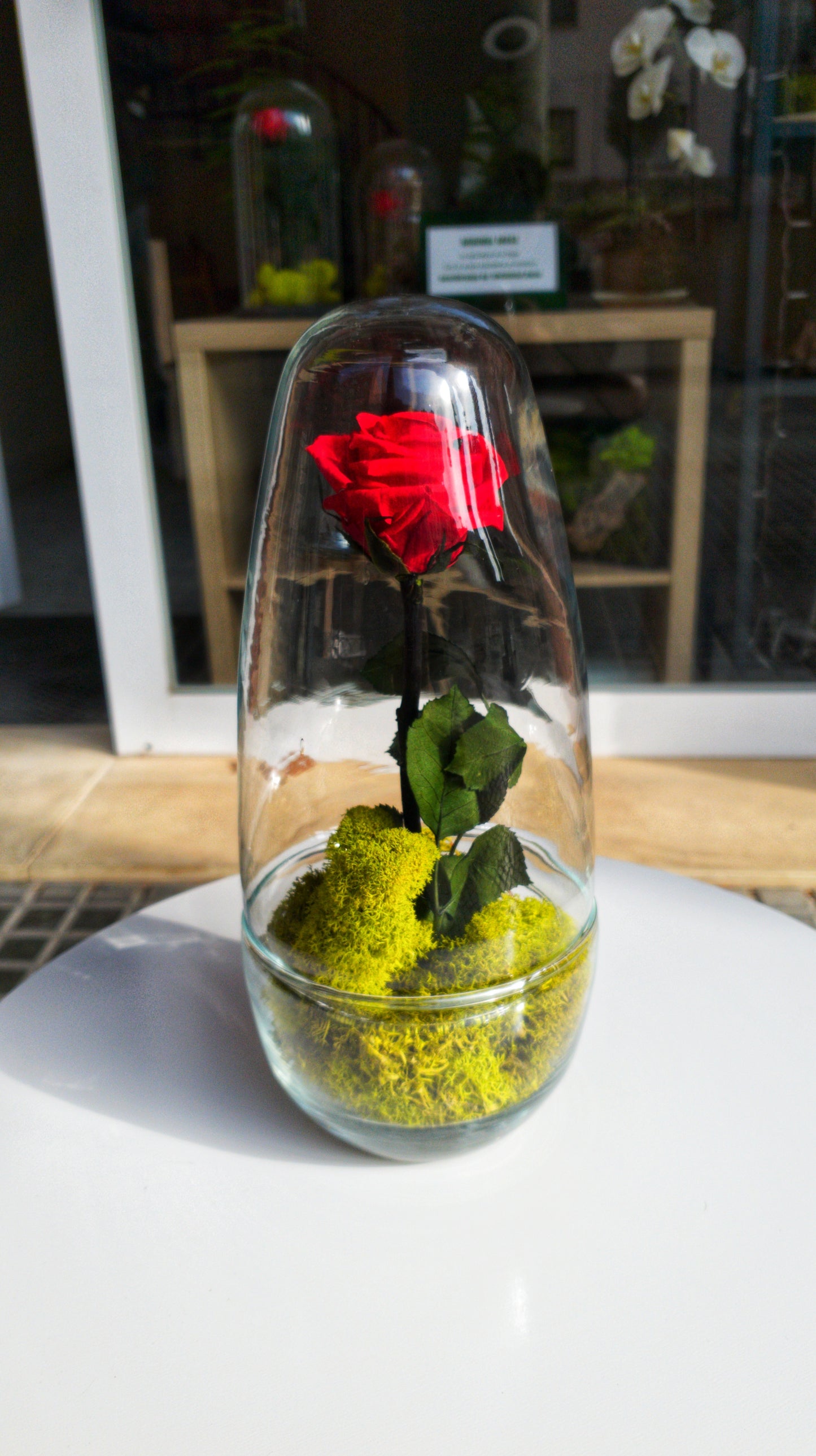 Eternity Glass Rose