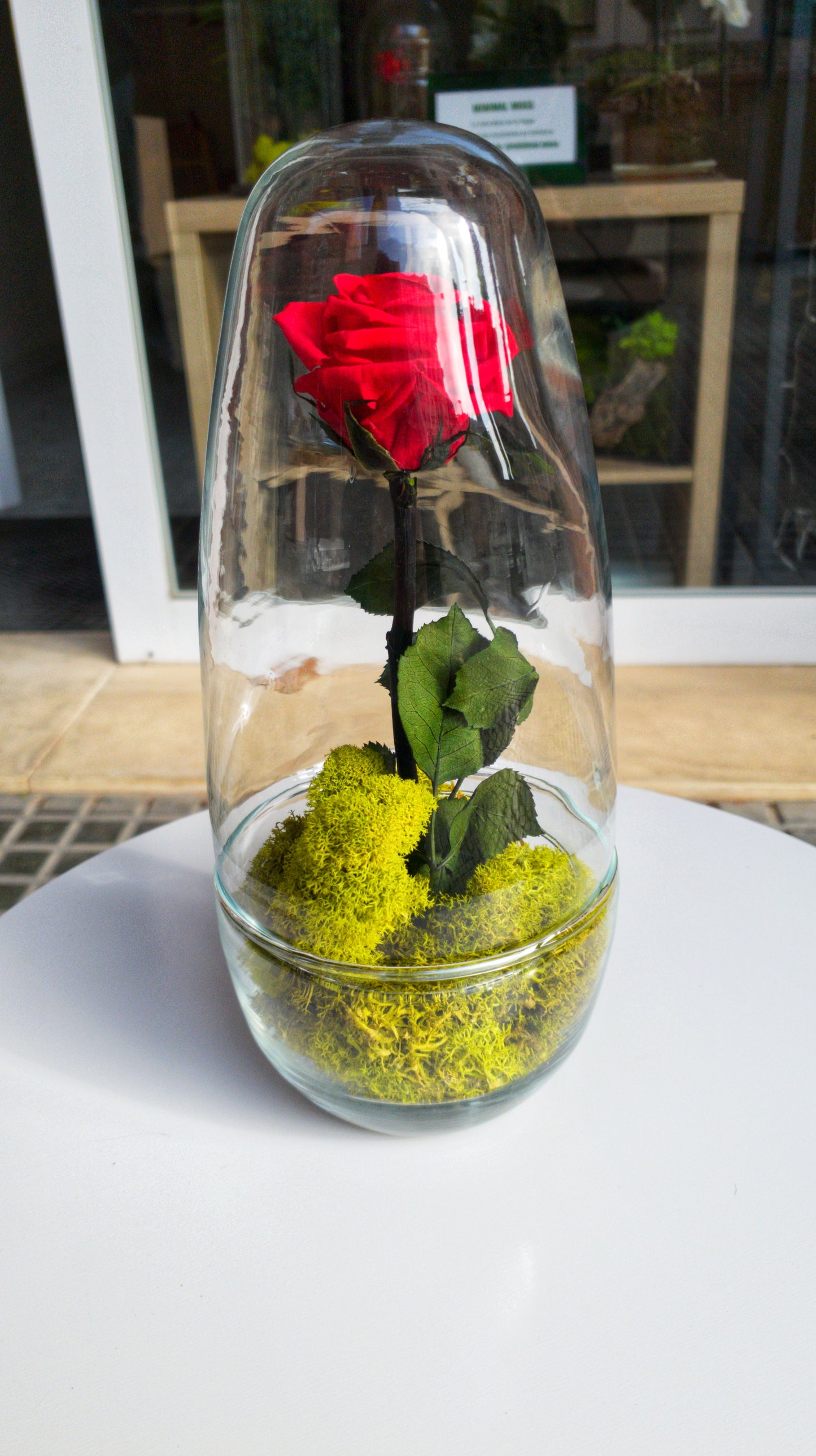 Eternity Glass Rose