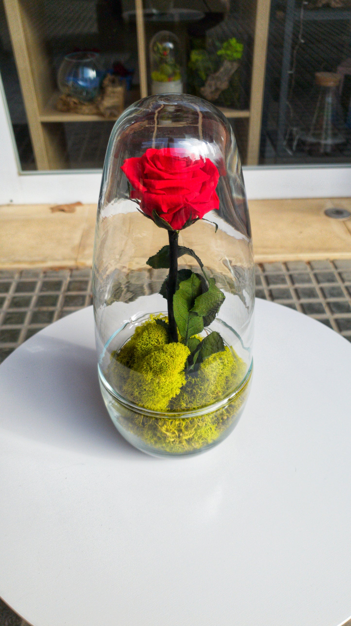 Eternity Glass Rose