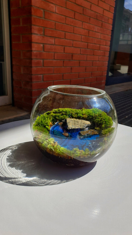 Oasis Terrarium