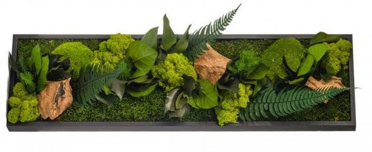 Nature Panoramic - MinimalMoss