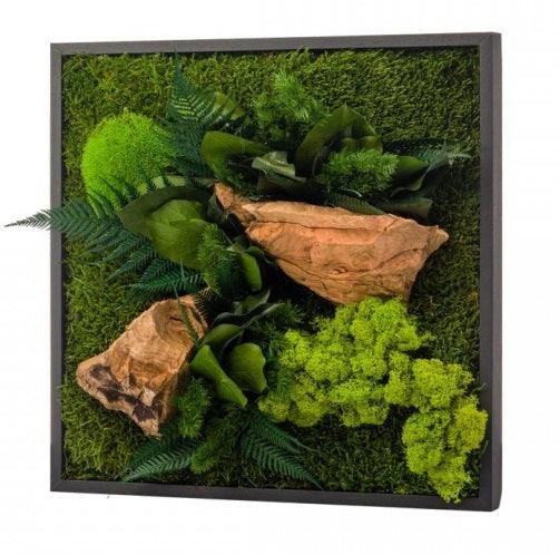 Nature M - MinimalMoss