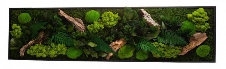 Nature Panoramic L - MinimalMoss