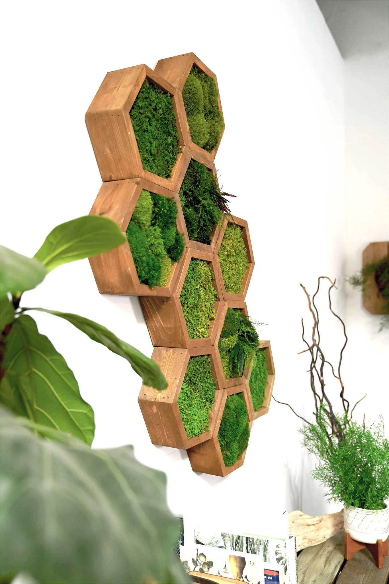Nature Hexagon