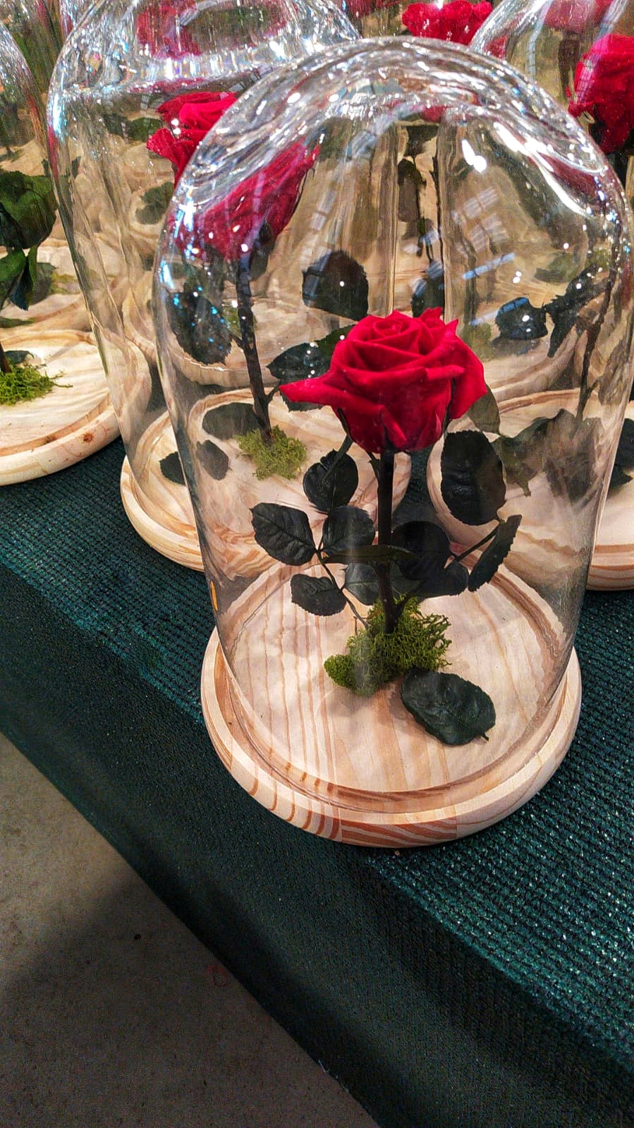 Eternity Rose