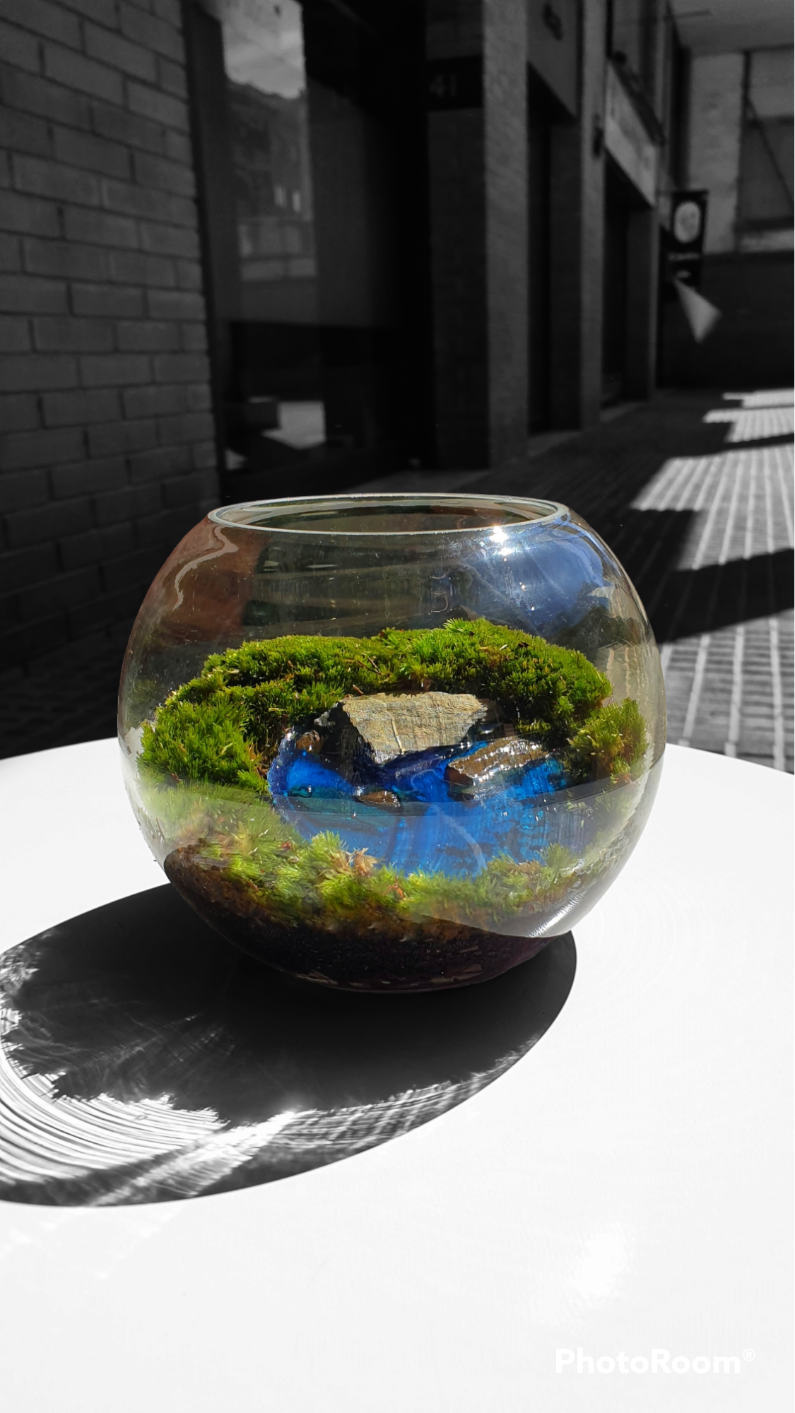 Oasis Terrarium
