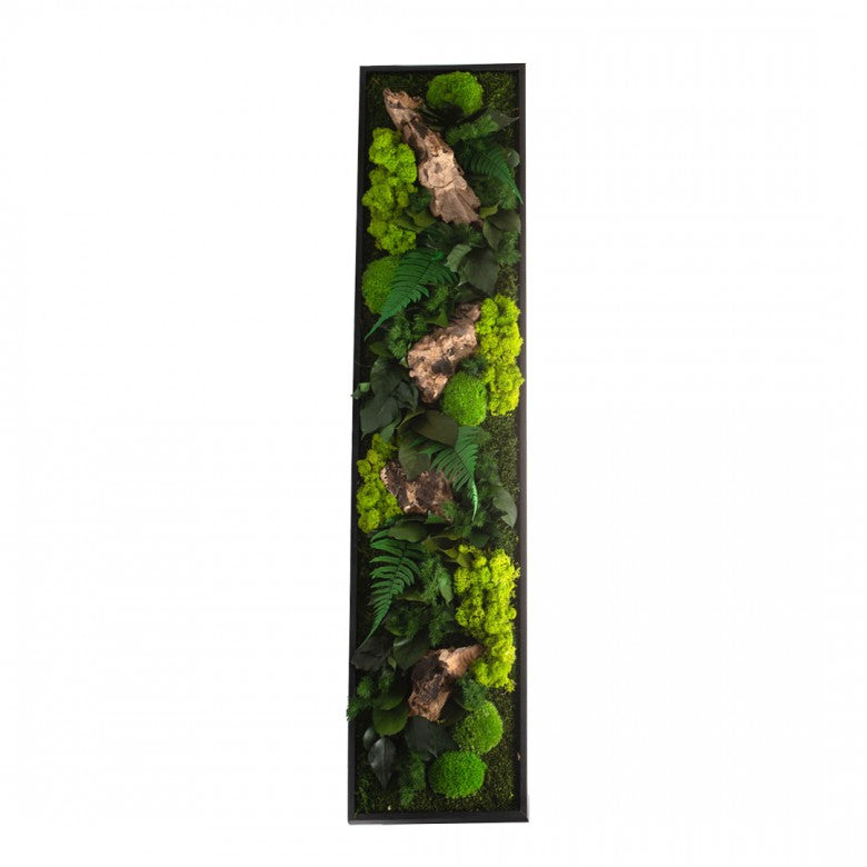 Nature Panoramic XL