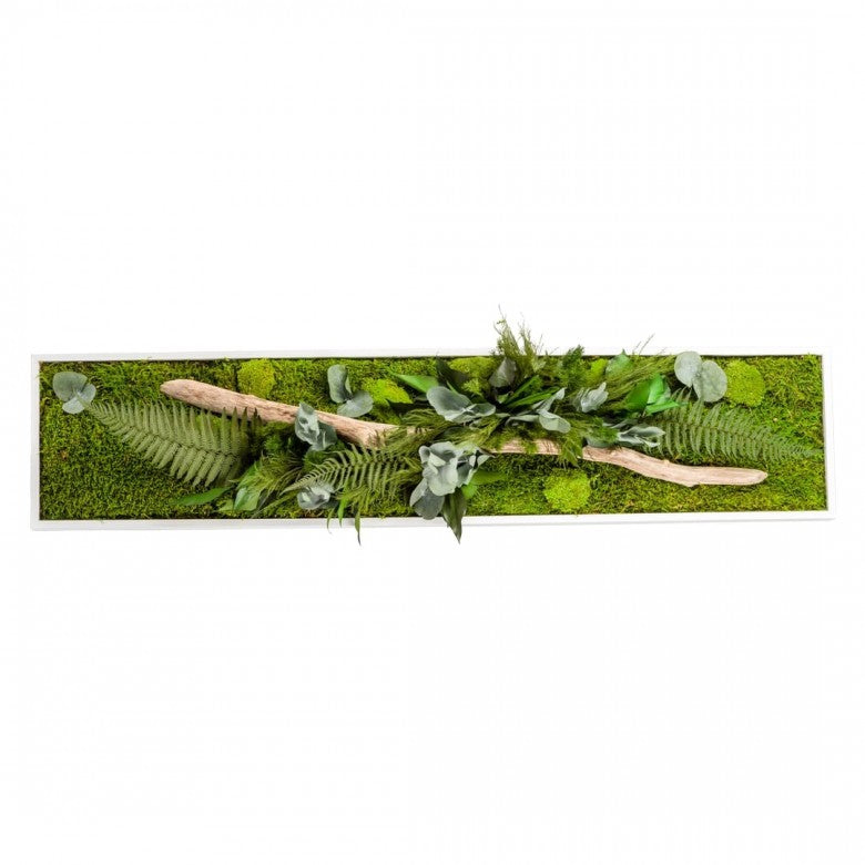 Nature Panoramic L