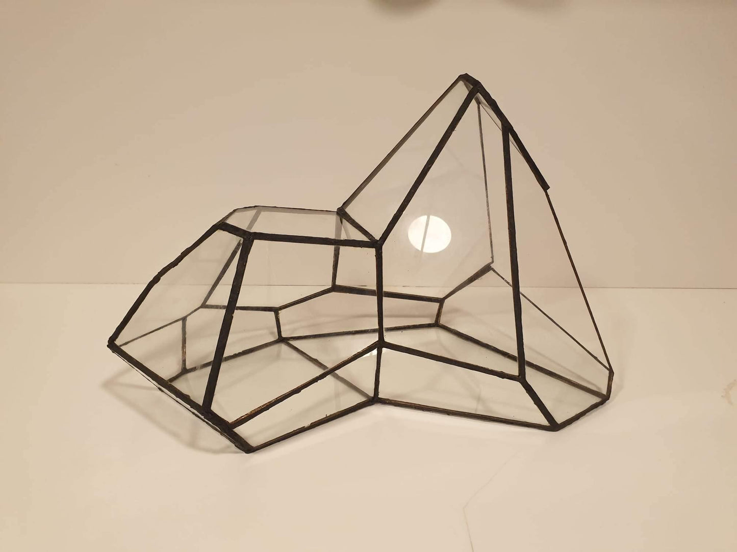 Pandora Terrarium - MinimalMoss