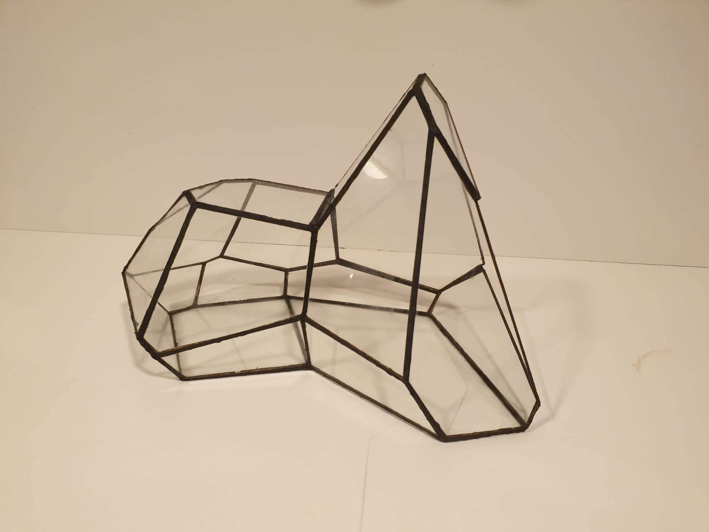 Pandora Terrarium - MinimalMoss