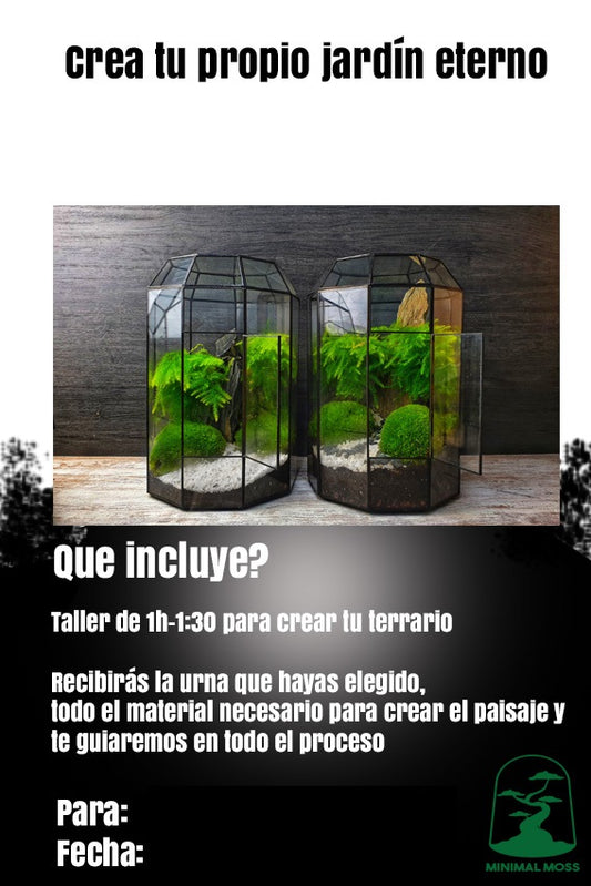 Regala - Taller Terrario