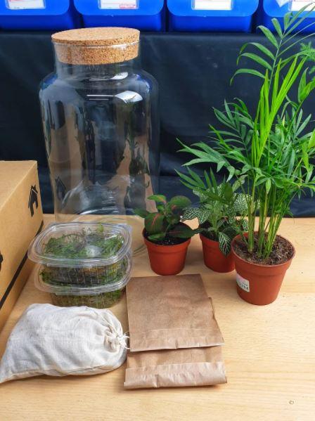 kit jardín eterno - DIY