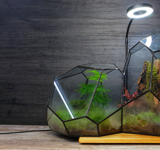 Lampara con soporte - MinimalMoss