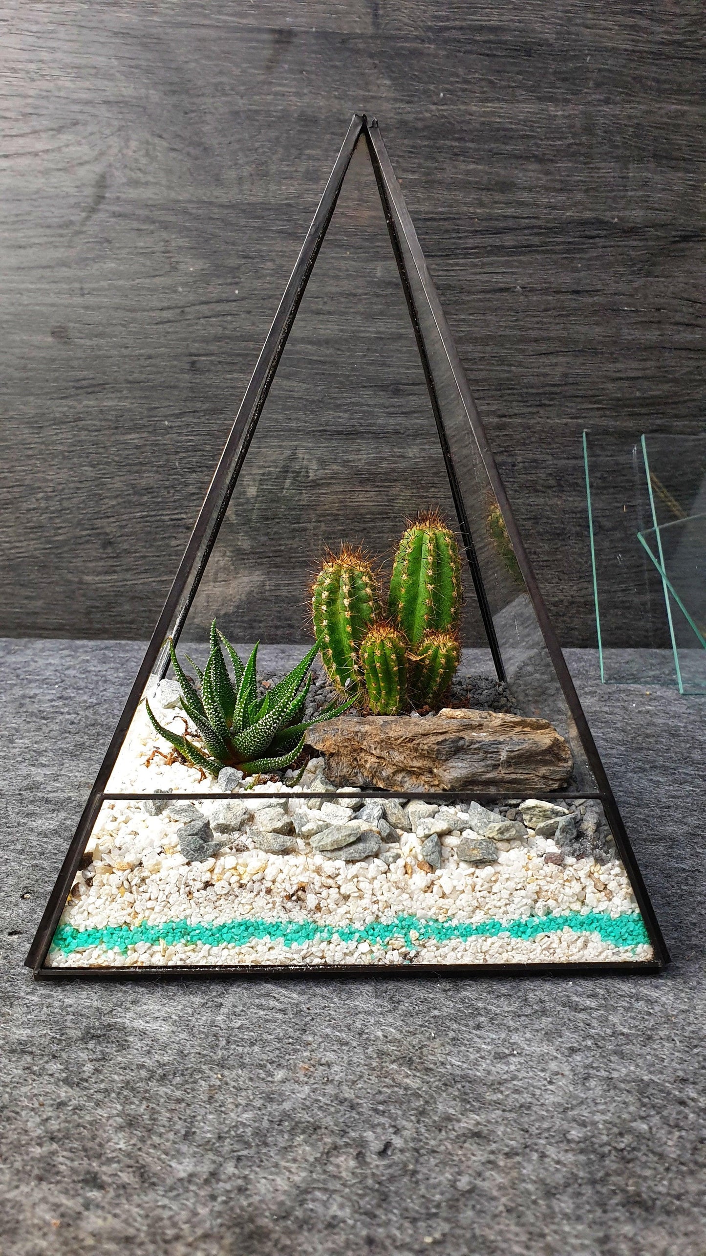 Kaktus Terrarium - MinimalMoss