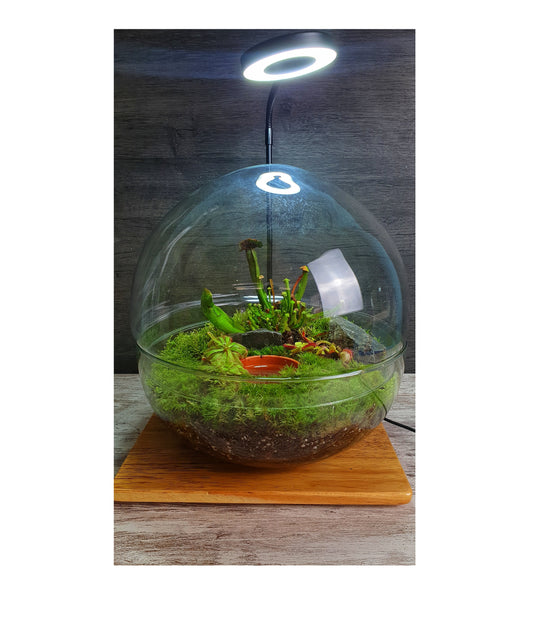 Carnivorous Swamp Orb